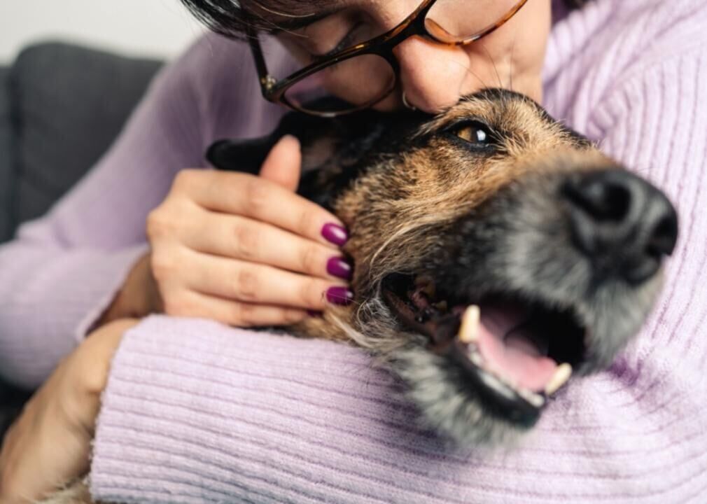 What shelters are doing to raise adoption rates